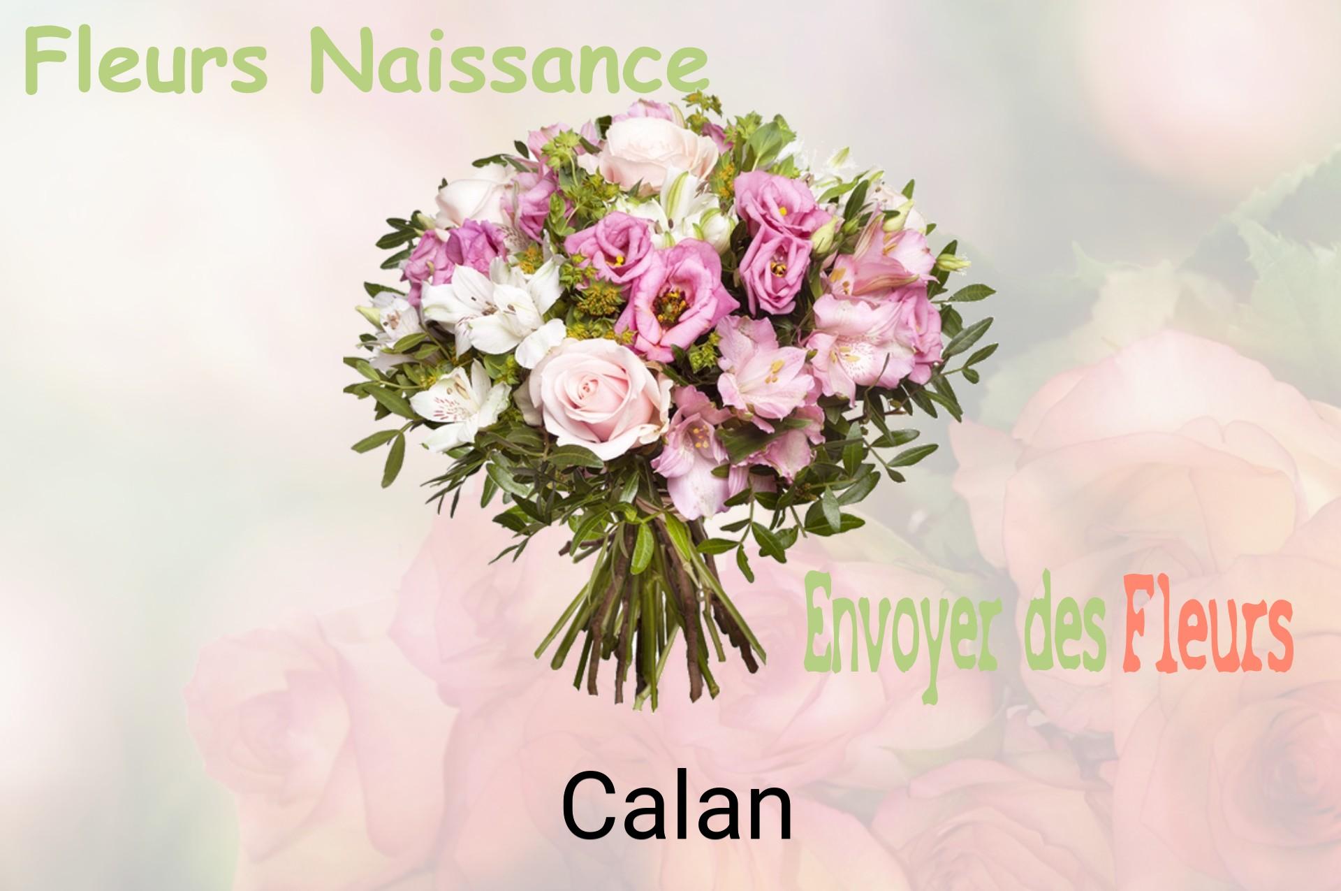 Bouquet de fleurs de naissance livré à Calan