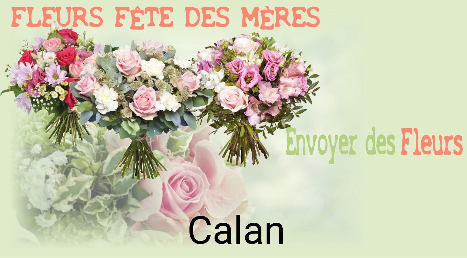 Bouquet de Fête des Mères livré à Calan